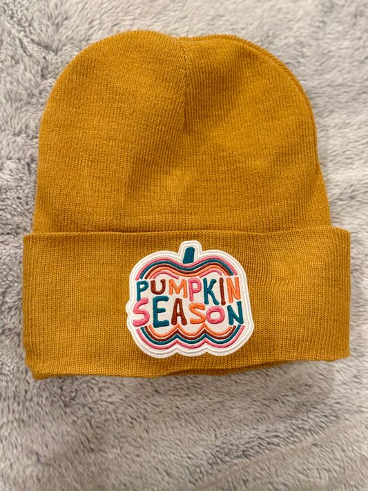 Pumpkin Season Silk-Lined Beanie